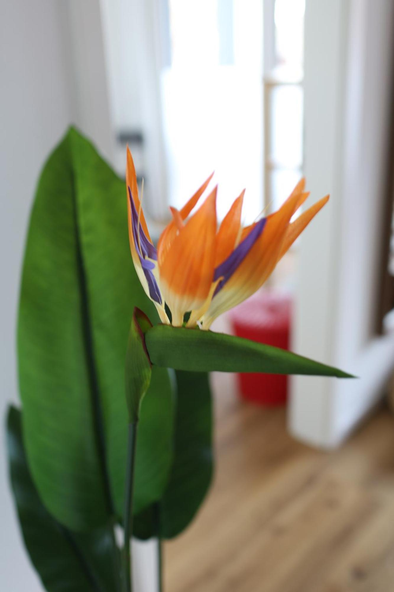 Apartment "London" In Erftstadt - 3 Zimmer & 63Qm - Nahe Koeln, Messe, Phantasialand & Bonn - Familienurlaub Oder Business Trip Εξωτερικό φωτογραφία